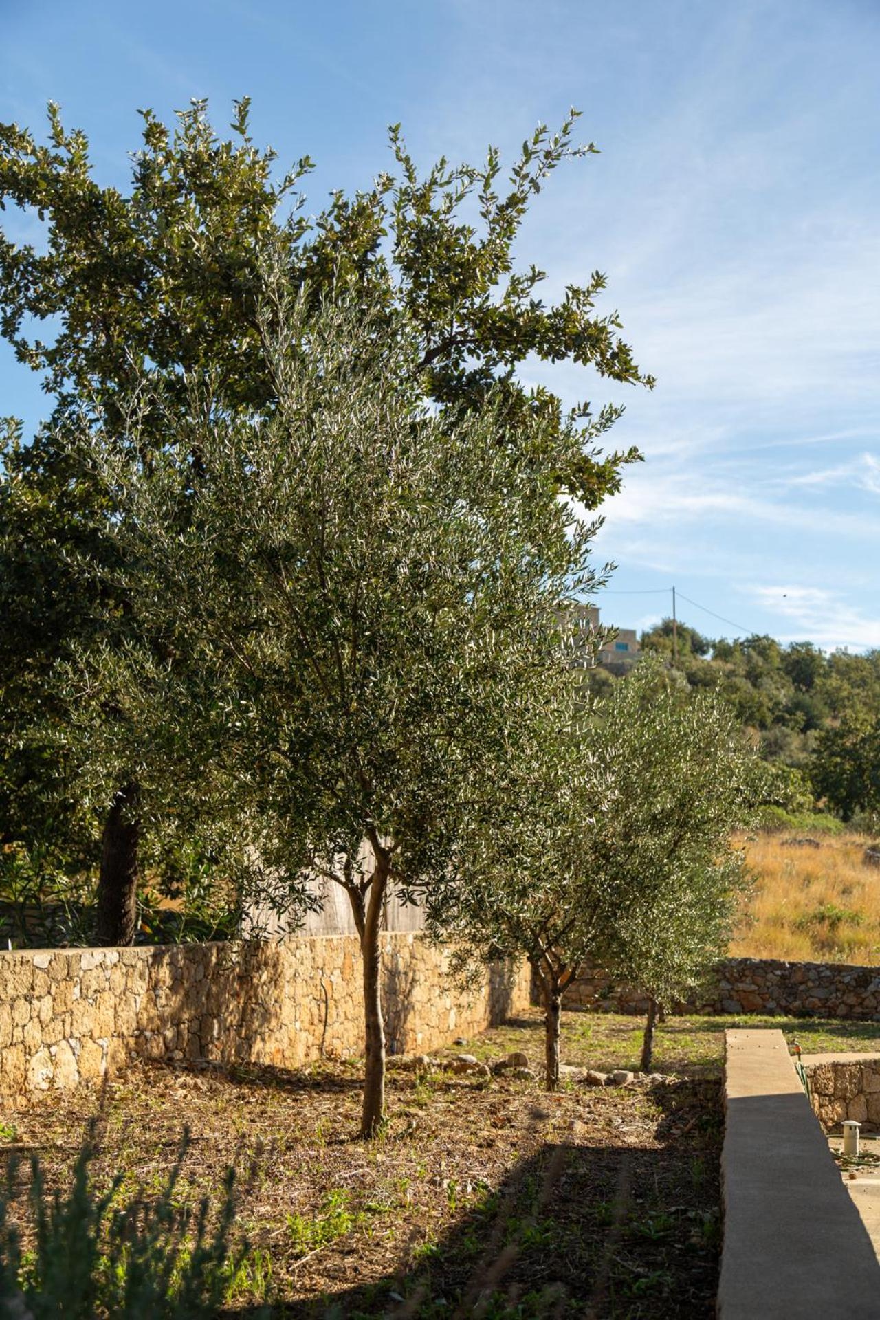 Gea Mani Villas Άγιος Νικόλαος Εξωτερικό φωτογραφία